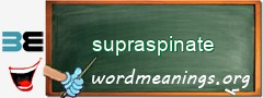 WordMeaning blackboard for supraspinate